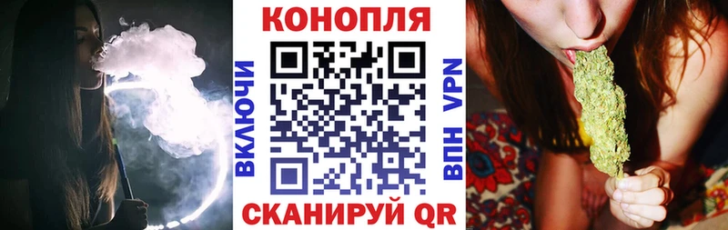 Купить закладки  Волжск  Конопля White Widow 